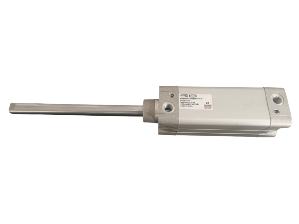CAMOZZI CYLINDER (61M2P050A0080S05-170) 50/80 - Image 3